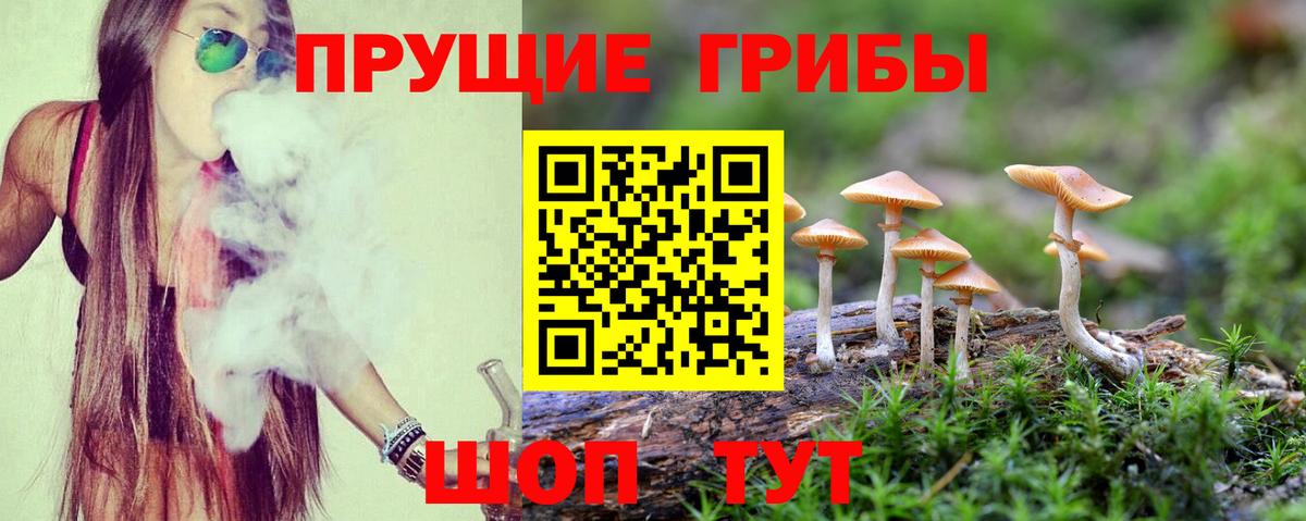 Псилоцибиновые грибы мухоморы Донецк