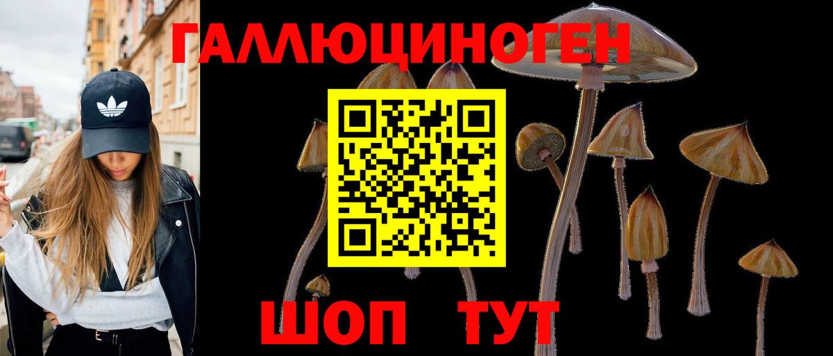 Галлюциногенные грибы GOLDEN TEACHER  Вход с VPN  Донецк  Псилоцибиновые грибы прущие грибы 